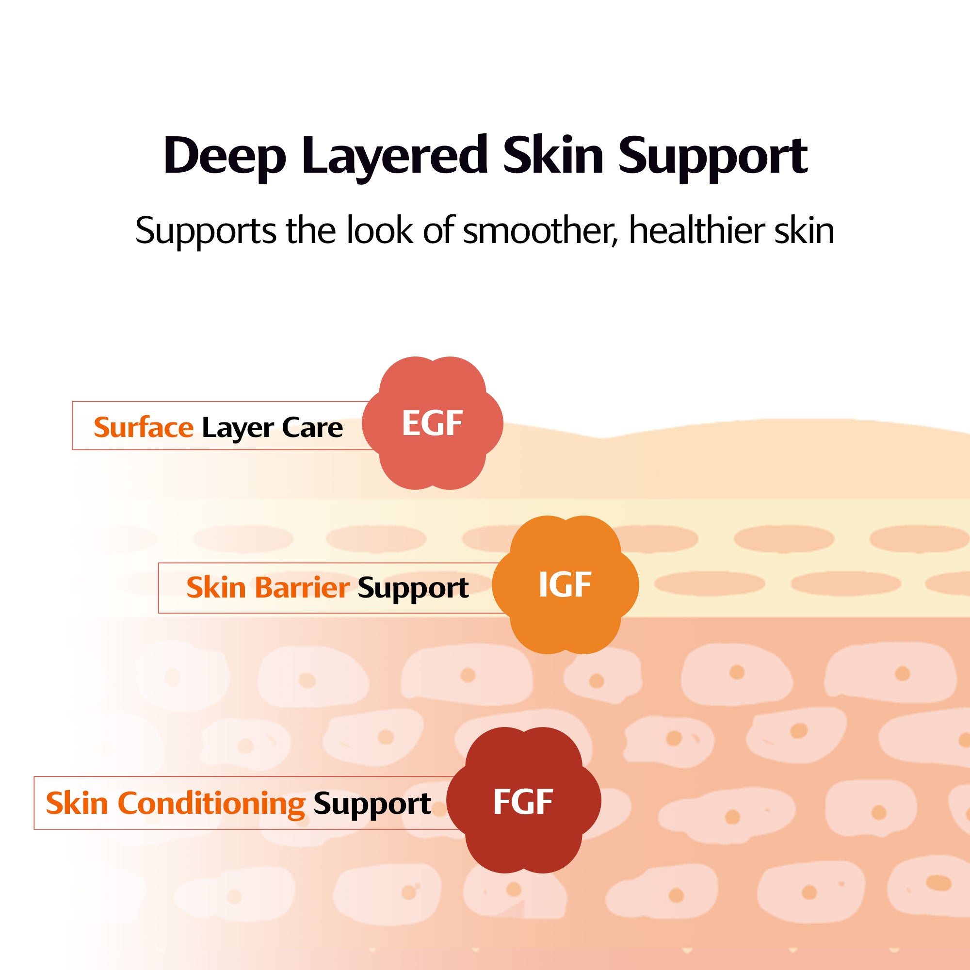 Mucin Collagen EGF Fitting Mask